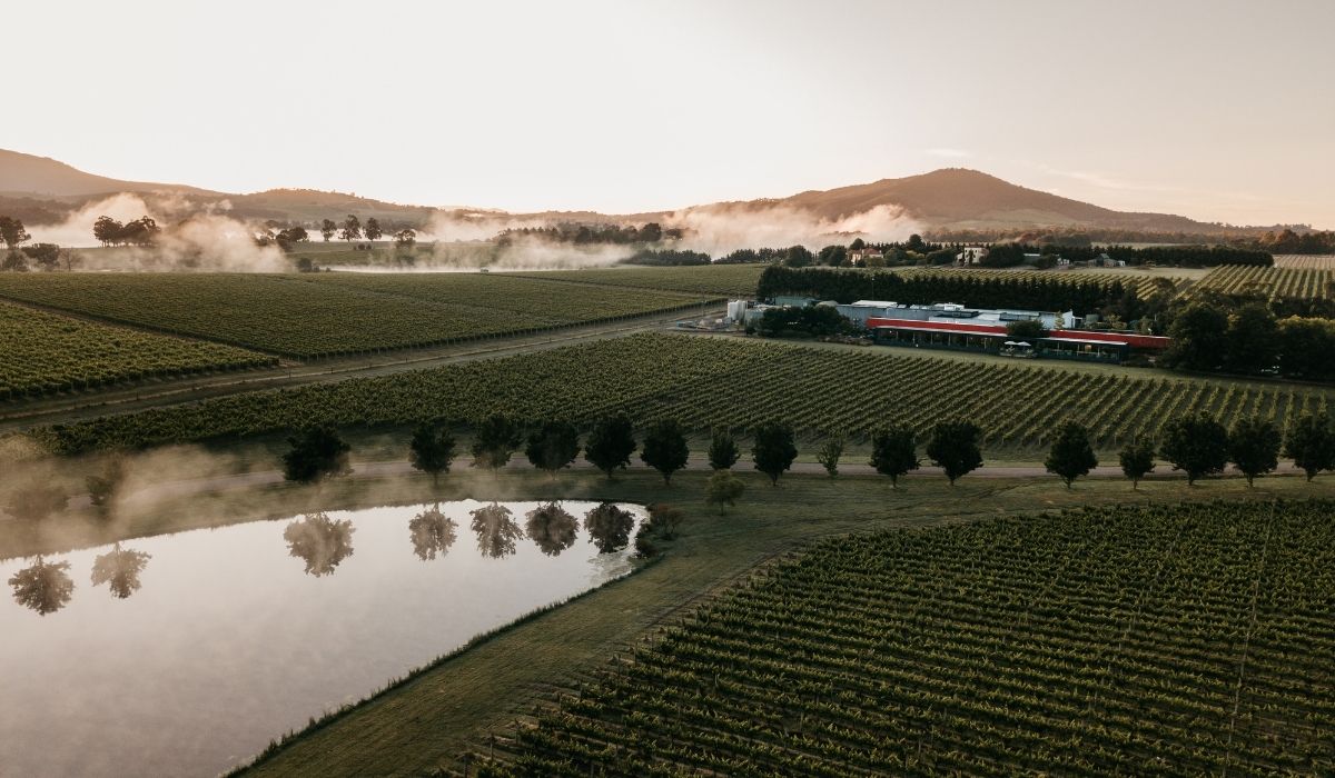 the 100 best wineries australia
